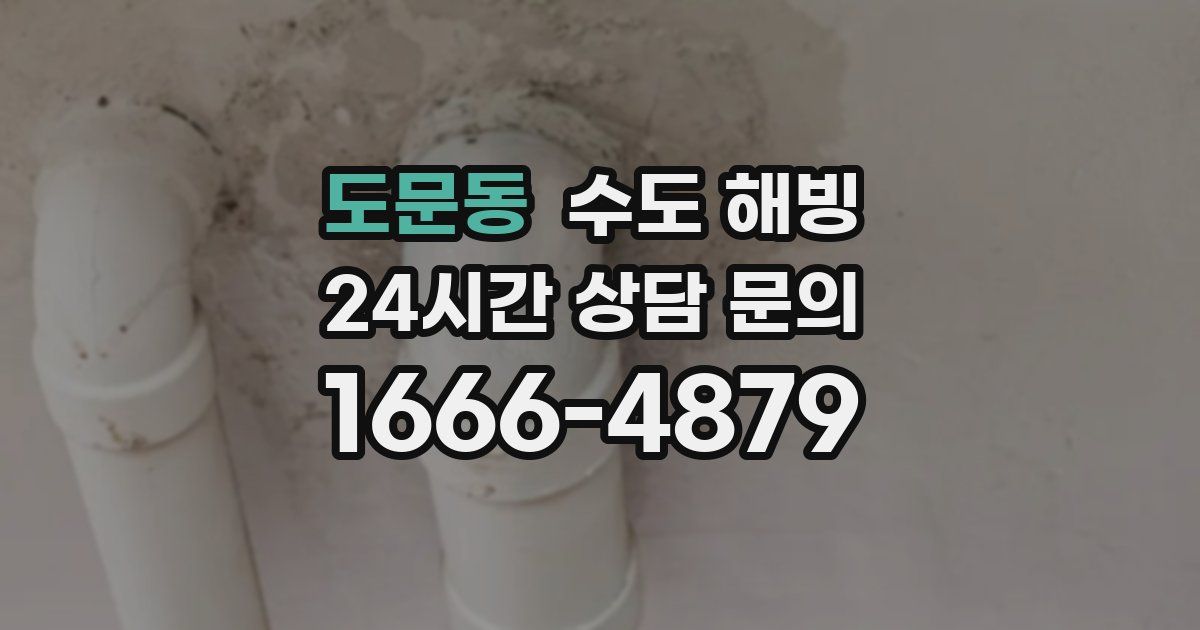 도문동 수도 해빙