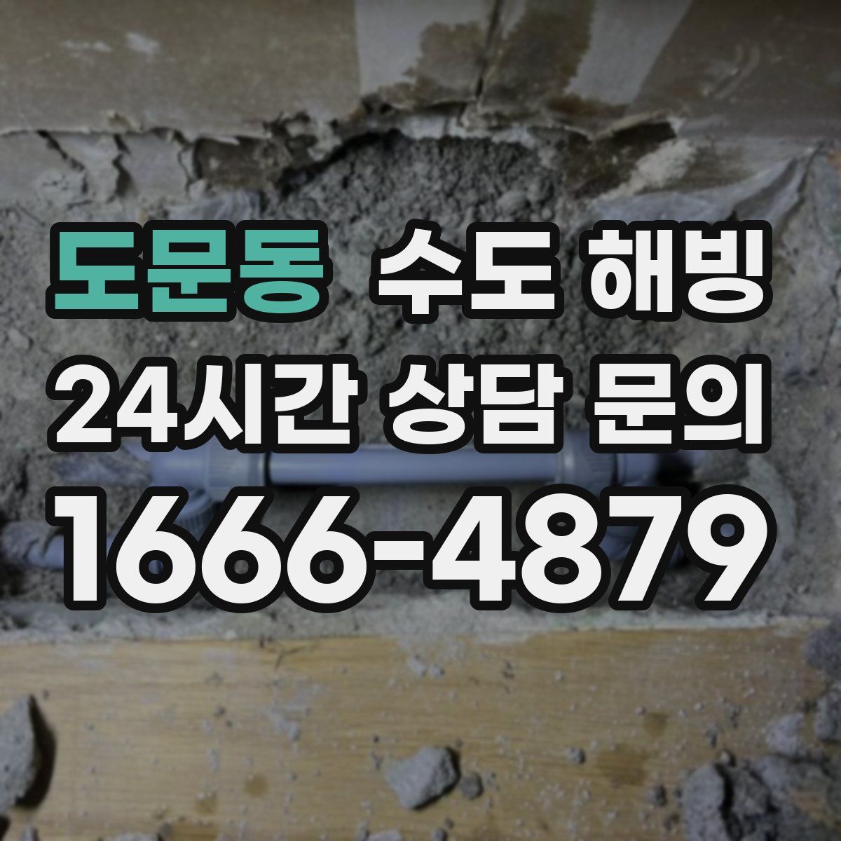 도문동 수도 해빙