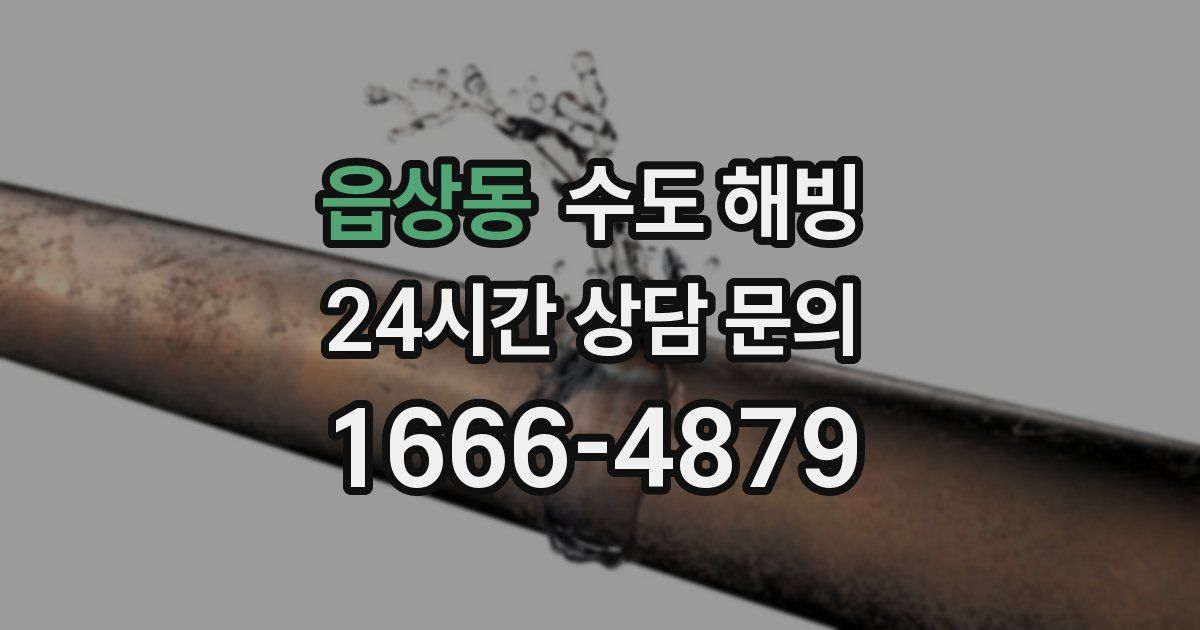 읍상동 수도 해빙