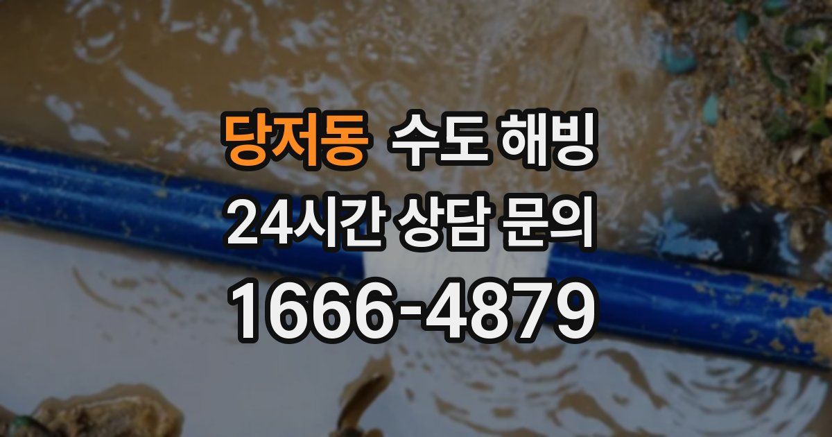 당저동 수도 해빙