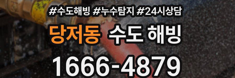 당저동 수도 해빙