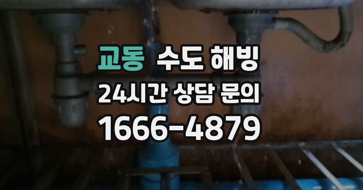 교동 수도 해빙