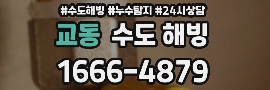 교동 수도 해빙