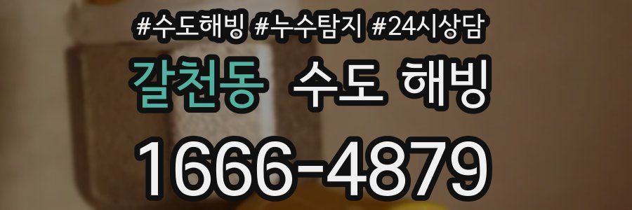 갈천동 수도 해빙