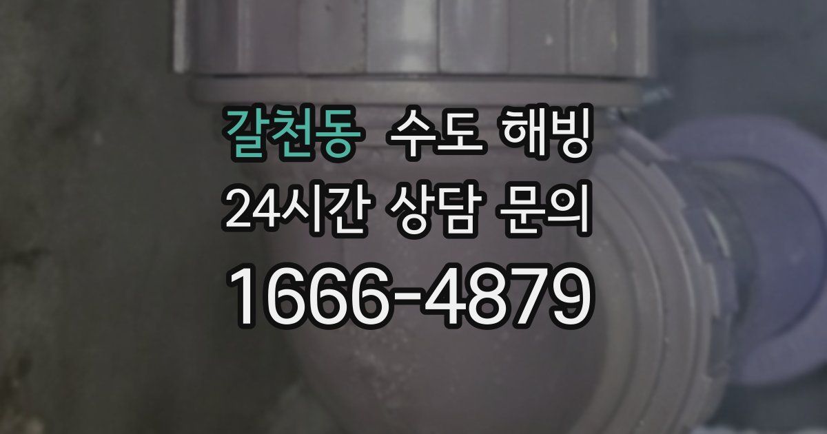 갈천동 수도 해빙