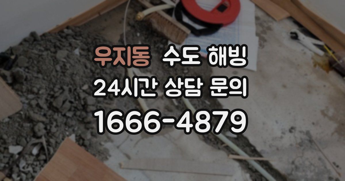 우지동 수도 해빙