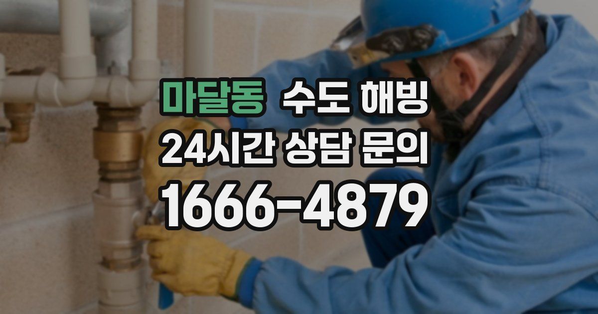 마달동 수도 해빙