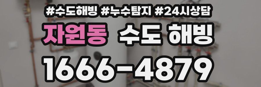 자원동 수도 해빙