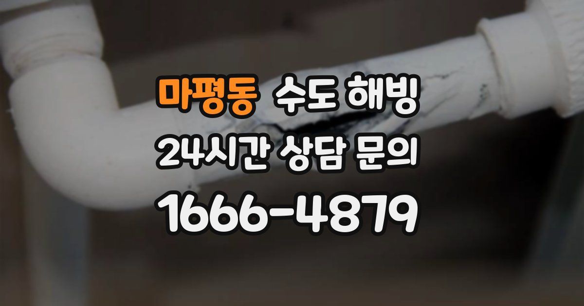 마평동 수도 해빙