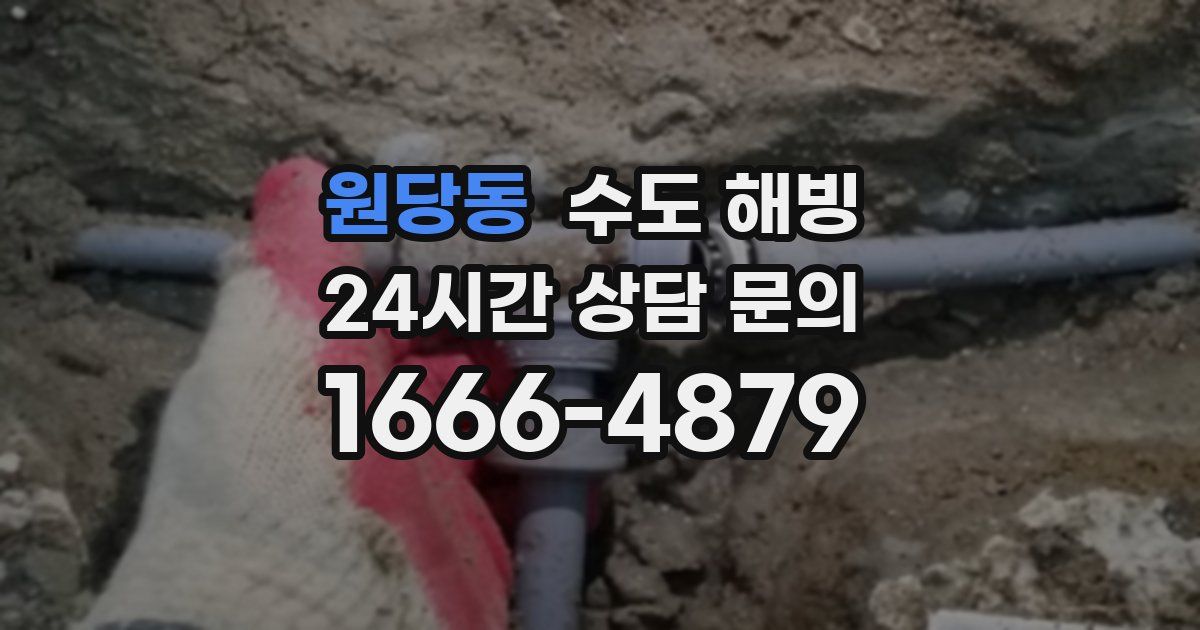 원당동 수도 해빙