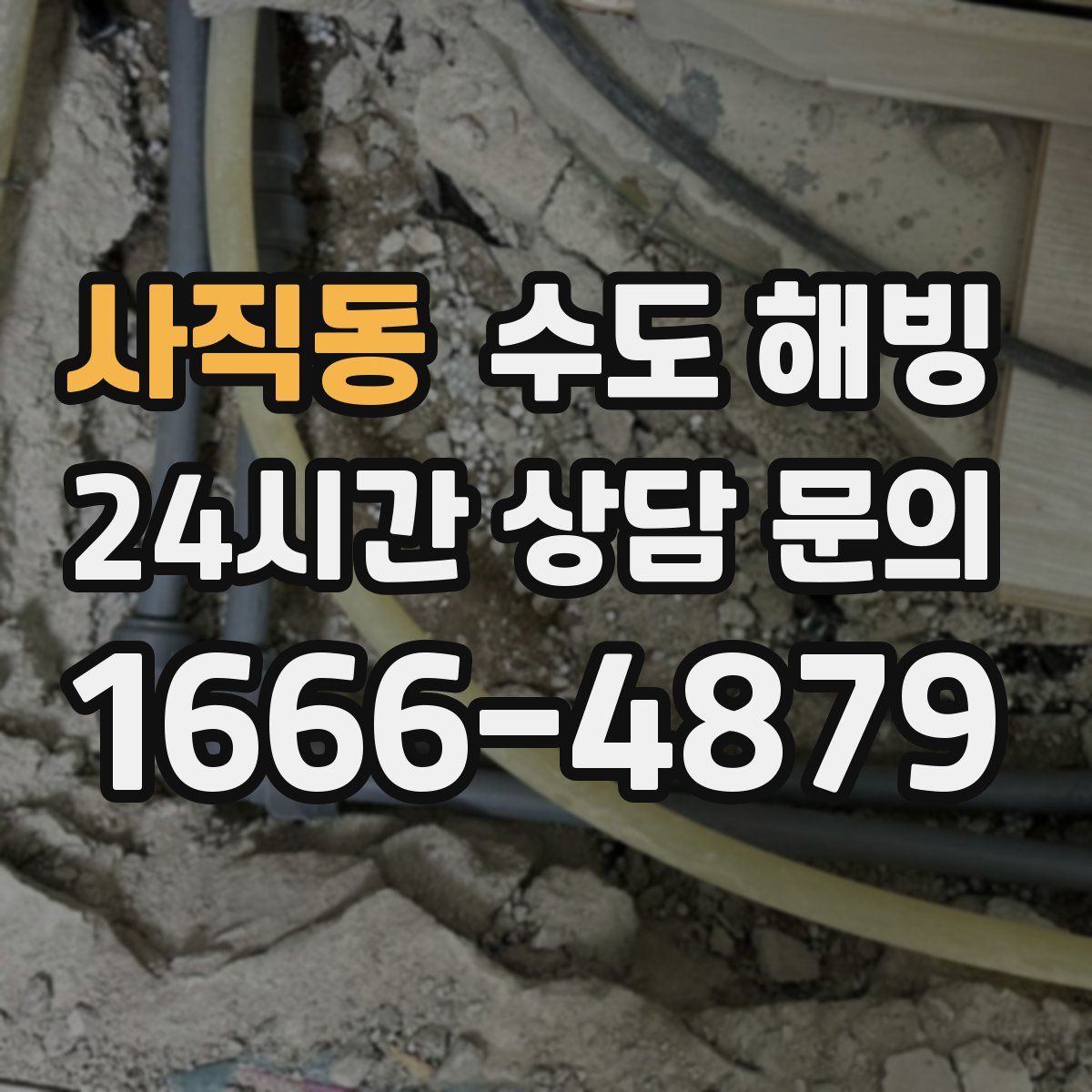 사직동 수도 해빙