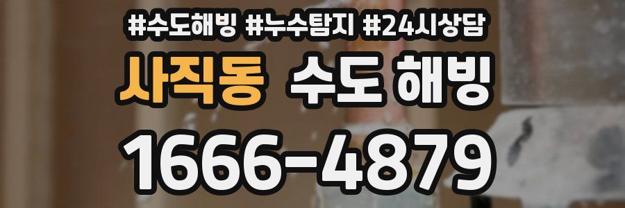 사직동 수도 해빙