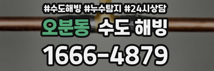 오분동 수도 해빙