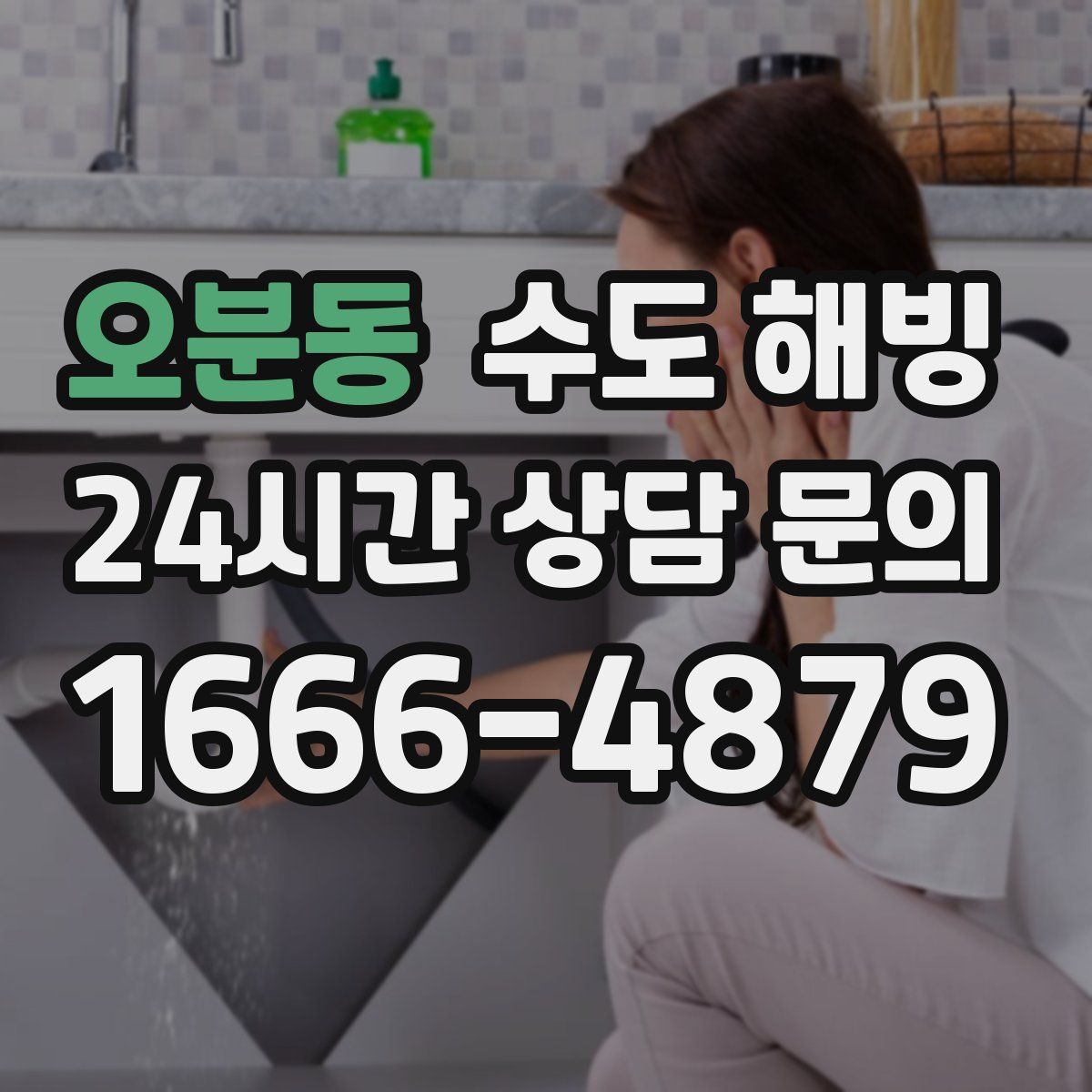 오분동 수도 해빙