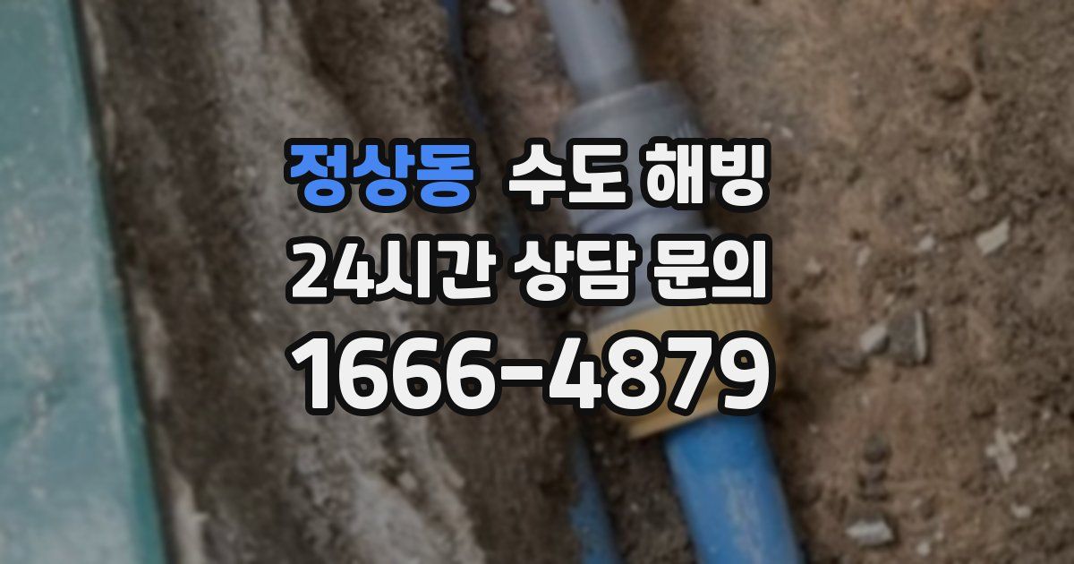 정상동 수도 해빙