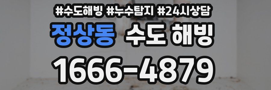 정상동 수도 해빙