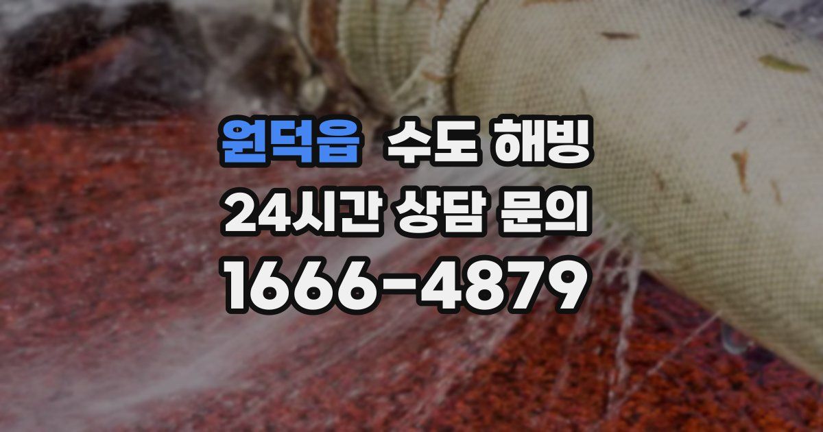 원덕읍 수도 해빙