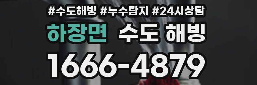 하장면 수도 해빙