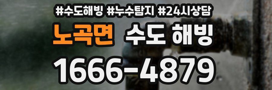 노곡면 수도 해빙