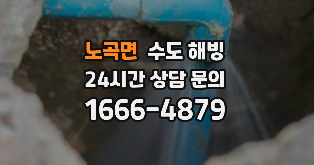 노곡면 수도 해빙