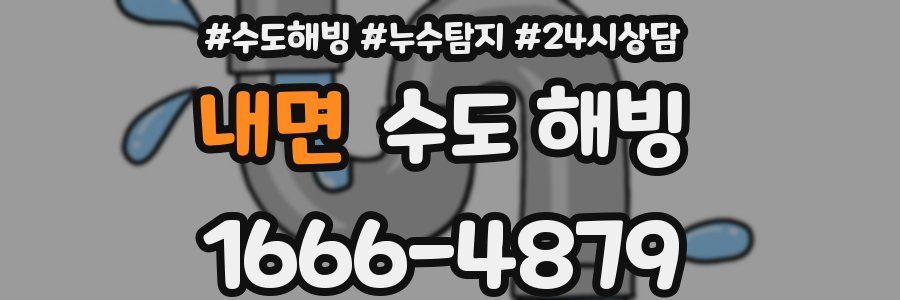내면 수도 해빙