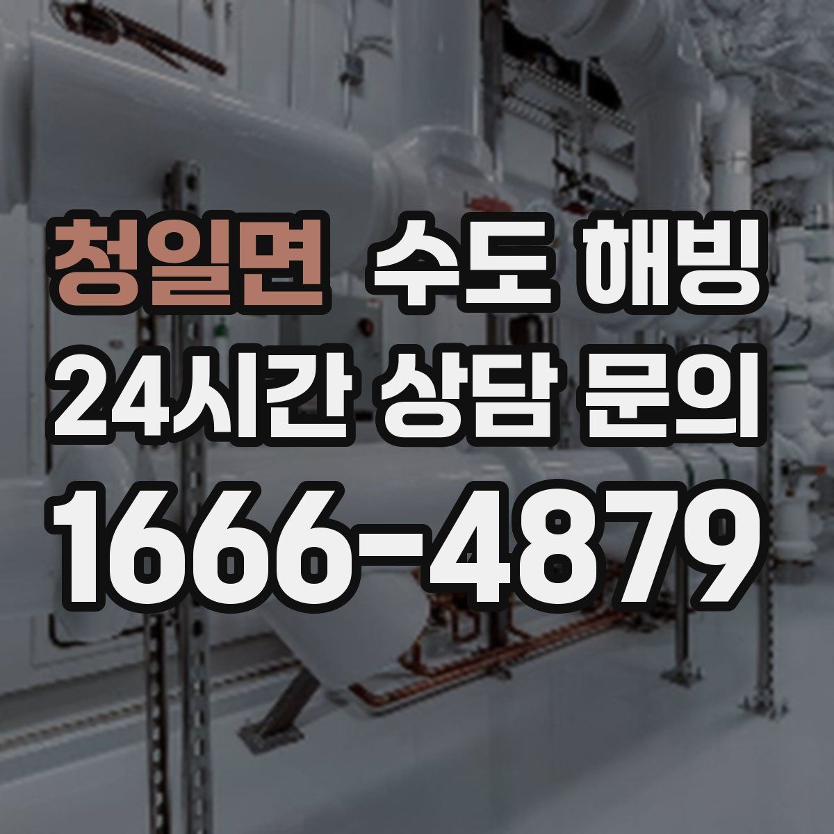 청일면 수도 해빙