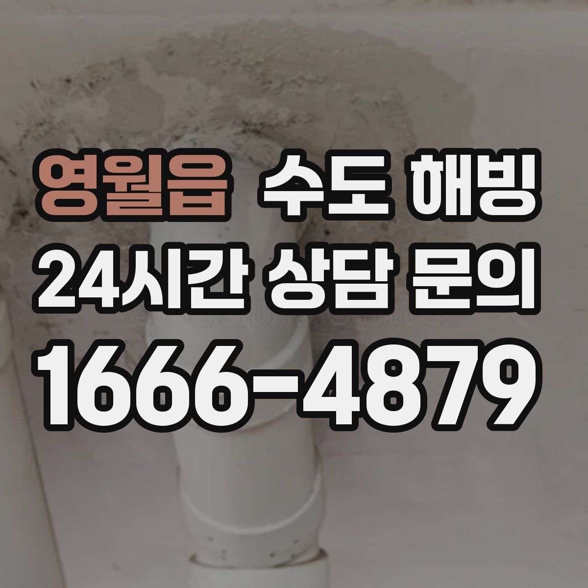 영월읍 수도 해빙