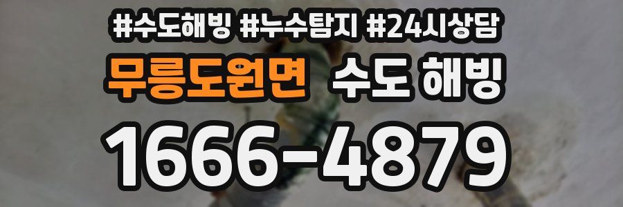 무릉도원면 수도 해빙