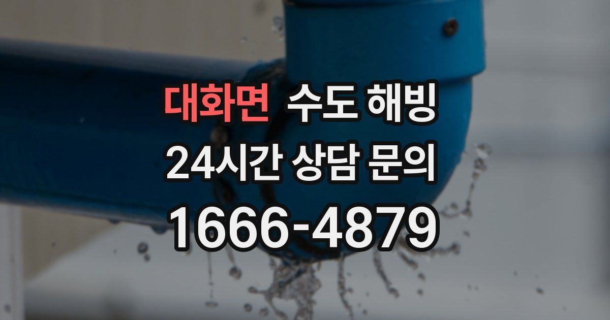 대화면 수도 해빙