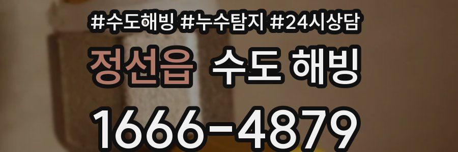 정선읍 수도 해빙