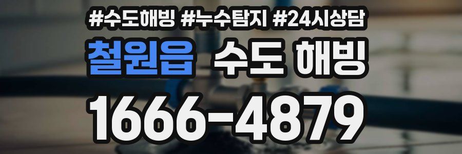 철원읍 수도 해빙