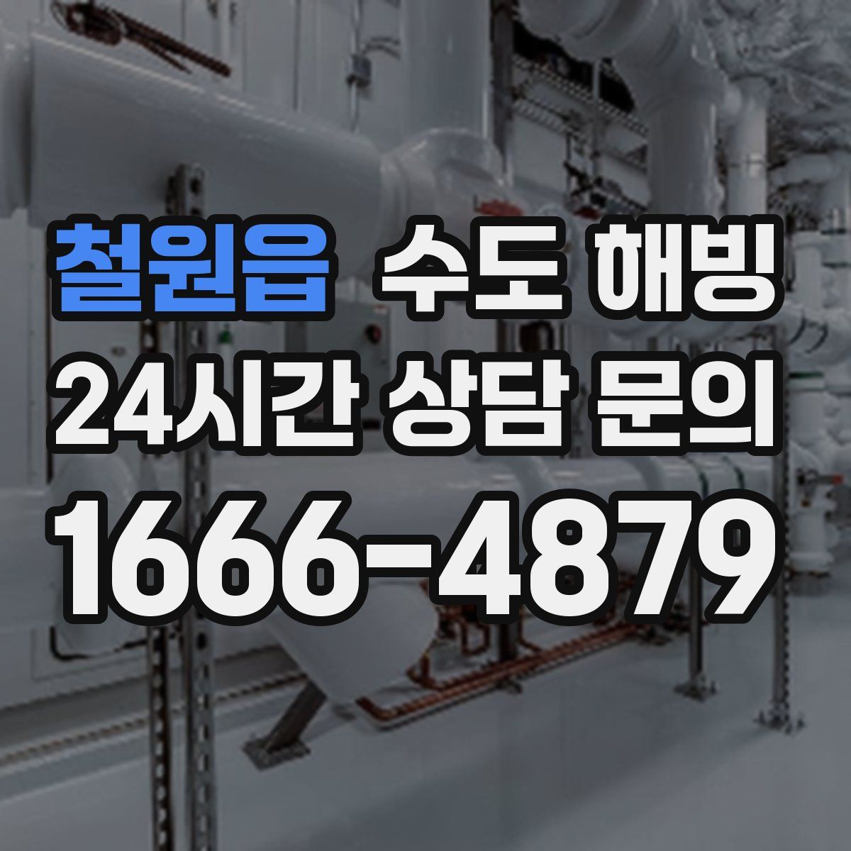 철원읍 수도 해빙