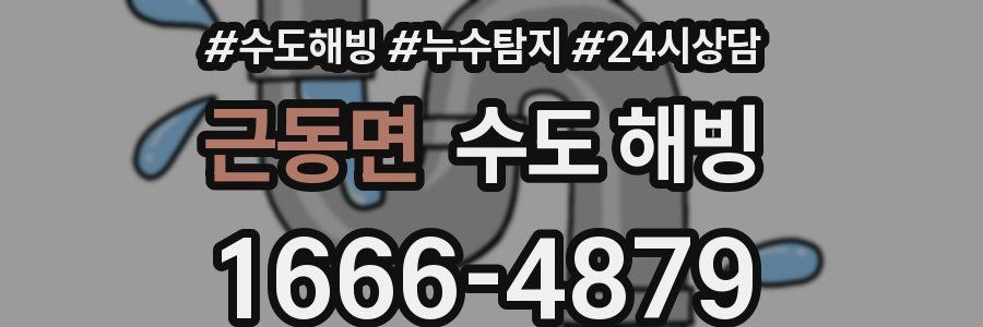 근동면 수도 해빙