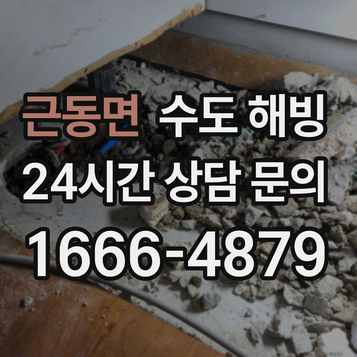 근동면 수도 해빙