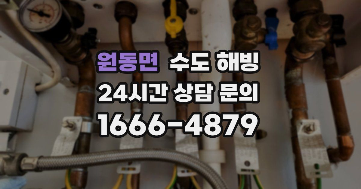 원동면 수도 해빙