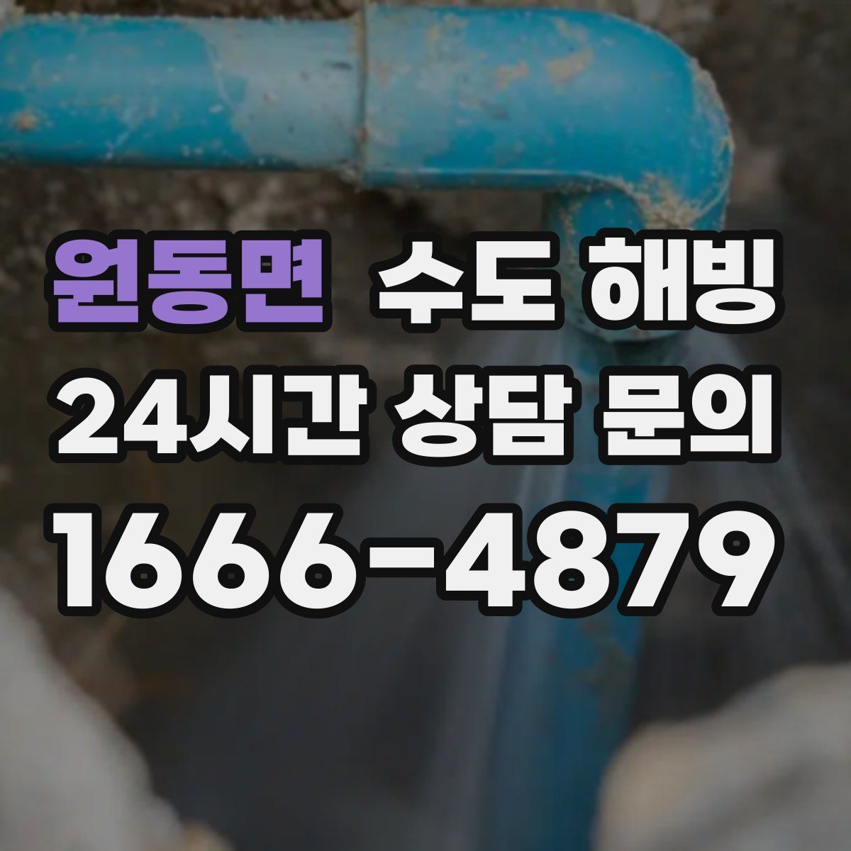 원동면 수도 해빙