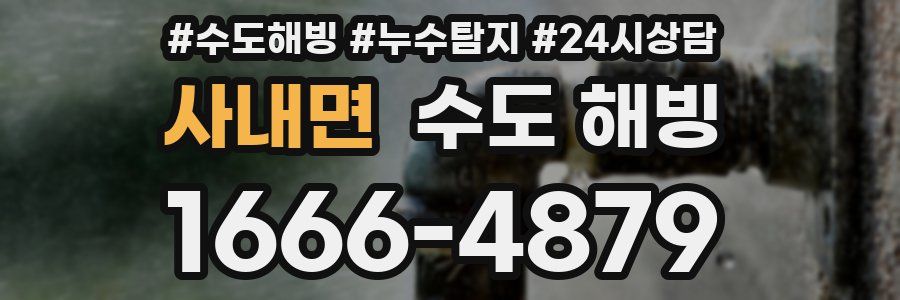 사내면 수도 해빙