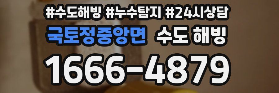 국토정중앙면 수도 해빙