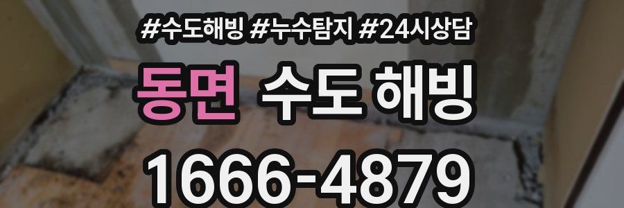 동면 수도 해빙