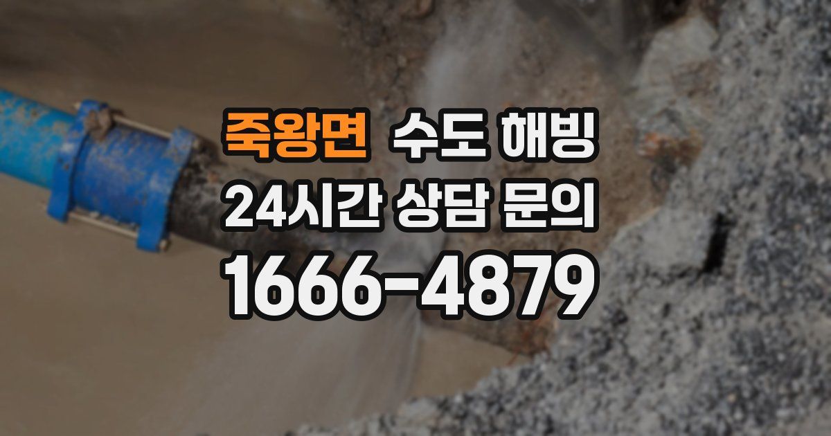 죽왕면 수도 해빙