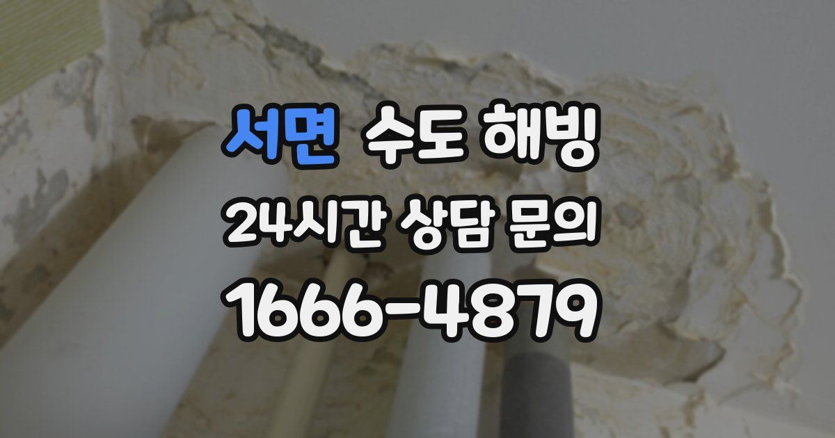 서면 수도 해빙