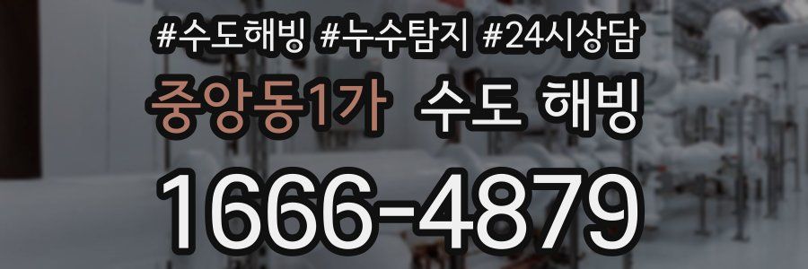 중앙동1가 수도 해빙