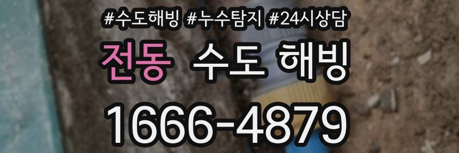 전동 수도 해빙