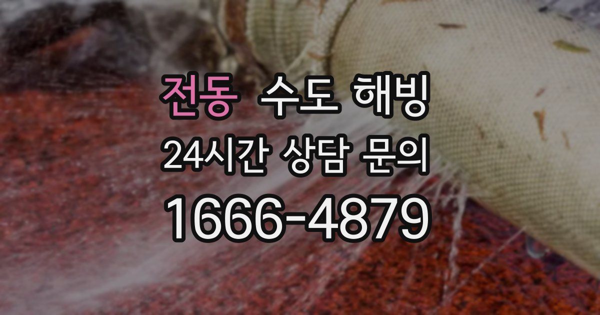 전동 수도 해빙