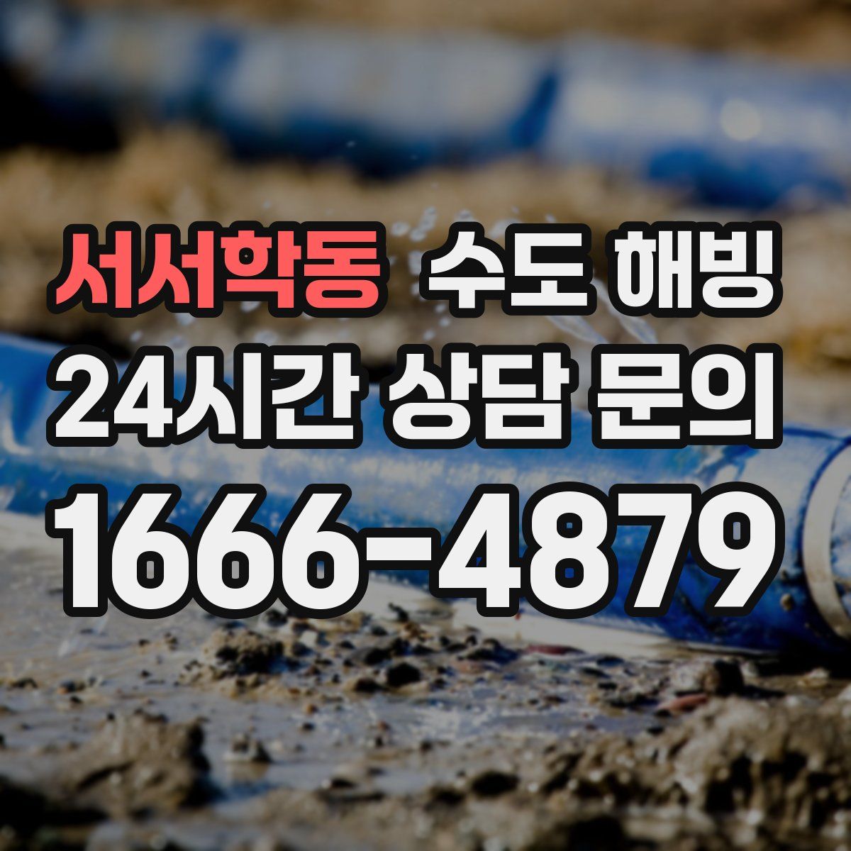 서서학동 수도 해빙