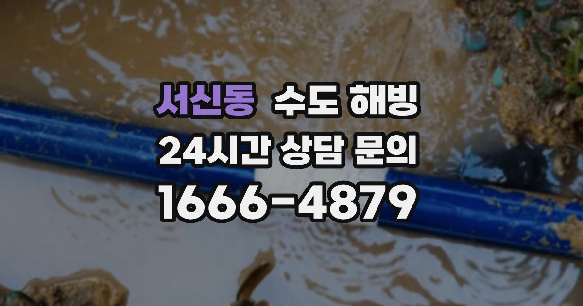 서신동 수도 해빙