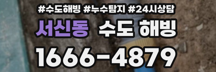 서신동 수도 해빙