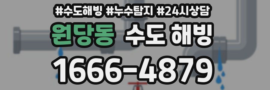 원당동 수도 해빙