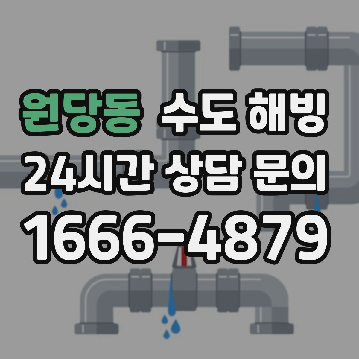 원당동 수도 해빙