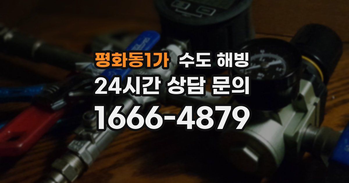 평화동1가 수도 해빙